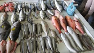 fish-market-14