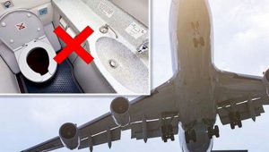 flight toilet