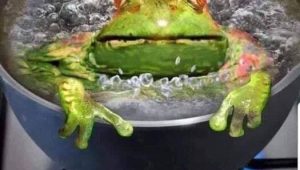 frog