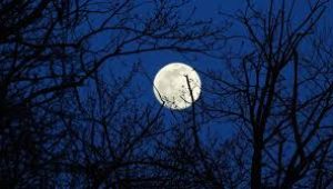fullmoon