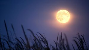 fullmoon