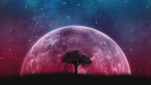 galaxy