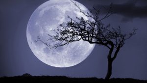 gallery-1498838810-gettyimages-461493851