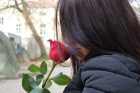 girl-with-red-rose