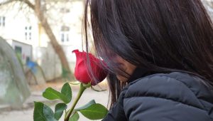 girl-with-red-rose