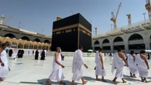 hajja