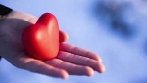 heart