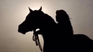 horse