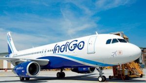 indigo airlines