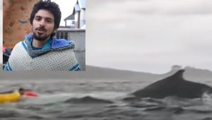 kayak humpback