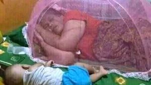 koadhu