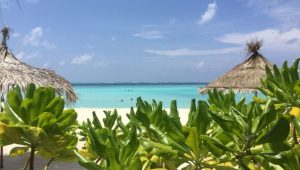 maldives