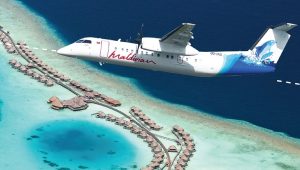 maldivian