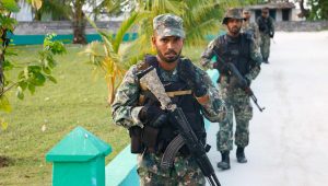 mndf