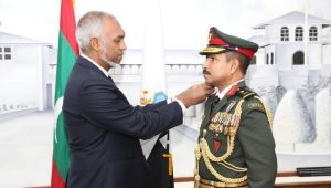 mndf