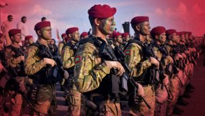mndf