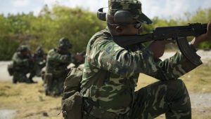 mndf-2