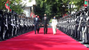 mndf-2