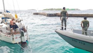 mndf