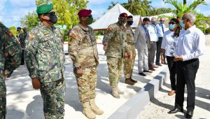 mndf-3