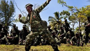 mndf