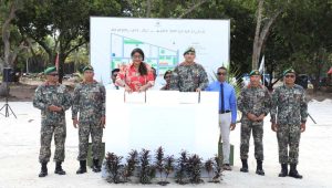 mndf