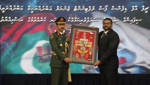 mndf