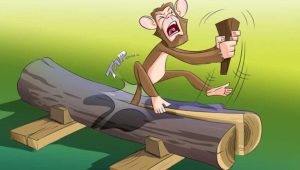 monkey