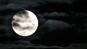 moon