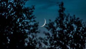 moon