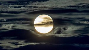 moon