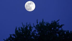 moon