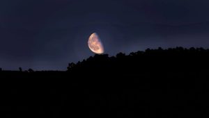 moon