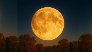 moon