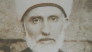 mostafa