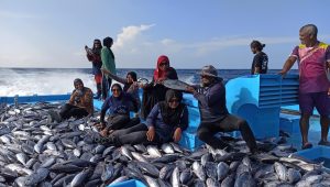 ނައިފަރު އަންހެނުންގެ މަސްދަތުރުގެ ތެރެއިން... -ފޮޓޯ: ފިޝަމަންސް އެސޯސިއޭޝަން އޮފް ނައިފަރު