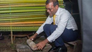 nasheed