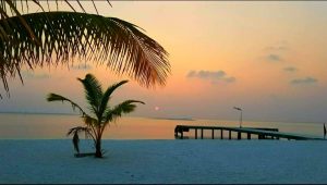 nolhivaranfaru