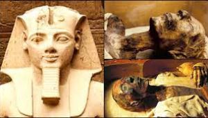 pharoah