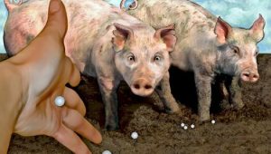 pigs-and-pearls