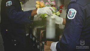 police-16