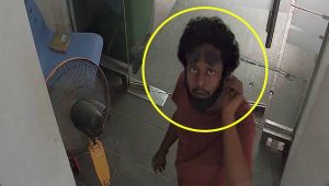 police-theft