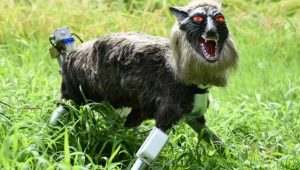 robot wolf - Japan