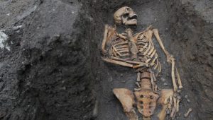 skeleton