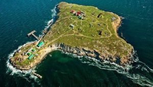 snake-island