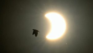 solar-eclipse