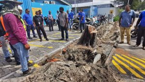 ސްޓެލްކޯގެ މައި ޑިސްޓްރިބިއުޝަން ކޭބަލަކަށް ވި ގެއްލުން ރަނގަޅު ކުރުމުގެ މަސައްކަތްކުރަނީ. ފޮޓޯ: ސްޓެލްކޯ
