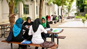 އެމް.އެން.ޔޫގެ ގޯތިތެރޭގައި ދަރިވަރުންތަކެއް ފިލާވަޅު ހެދުމުގައި މަސްއޫލުވެގެން  -ފޮޓޯ:އޭ.ޑީ.ބީޑޮޓްއޯގް