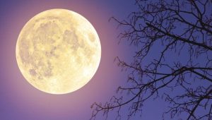 supermoon-