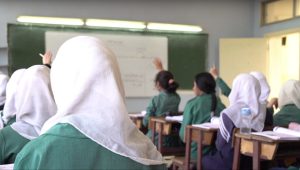 teachers